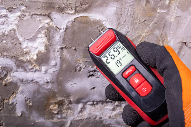 Best Attic Mold Remediation in Pleasureville, KY